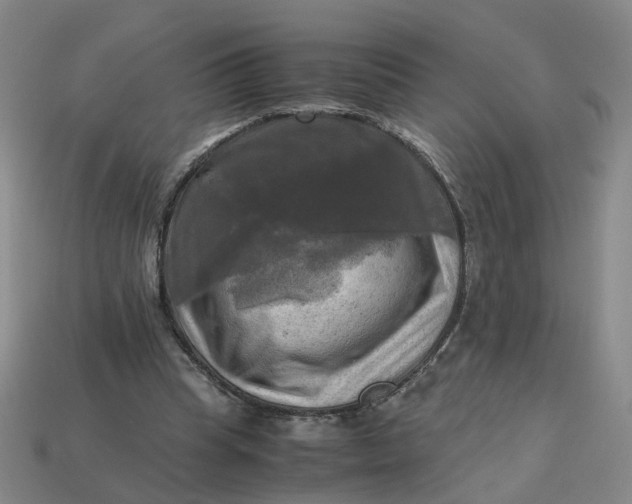 X0000113250345200910011351