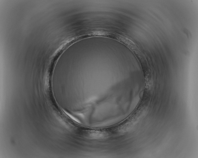 X0000113250347200910011351