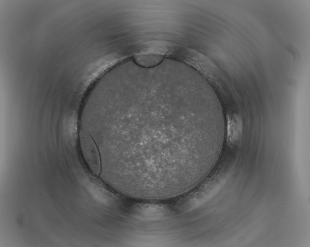 X0000113250348200910011351