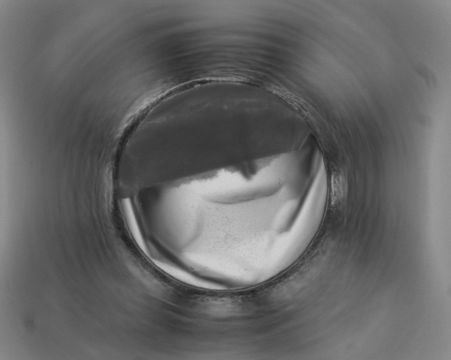 X0000113250349200910011351