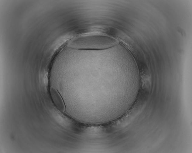 X0000113250350200910011351