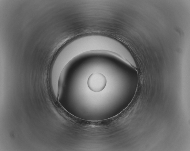 X0000113250352200910011351