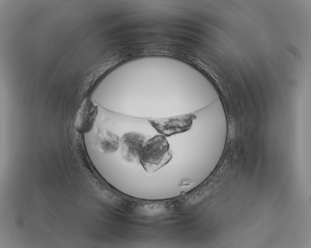 X0000113250353200910011351