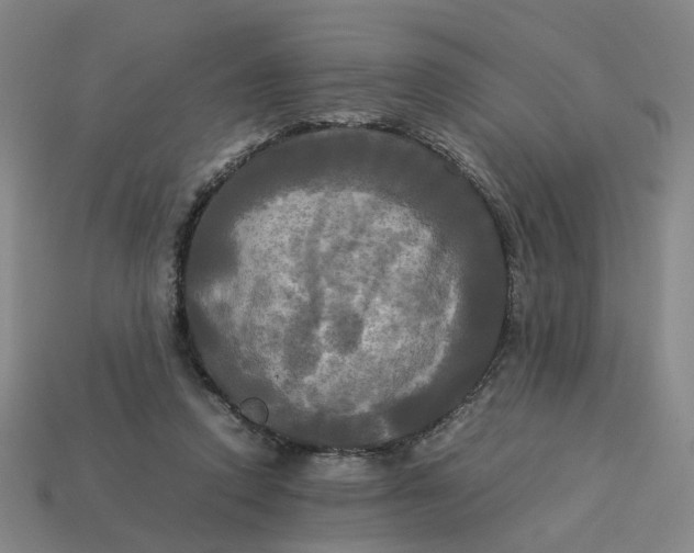 X0000113250354200910011351