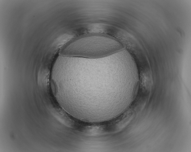 X0000113250356200910011351