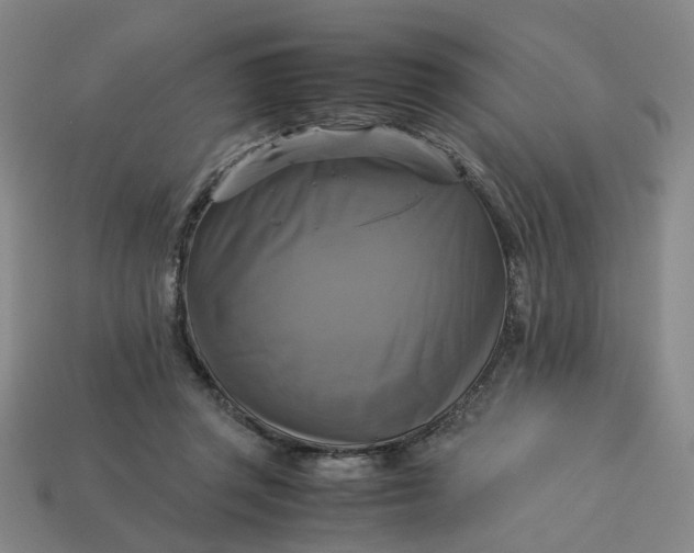 X0000113250357200910011351