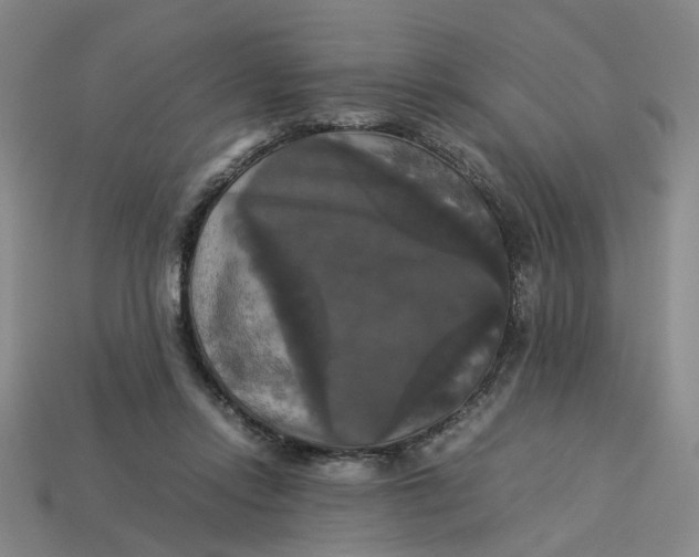 X0000113250358200910011351