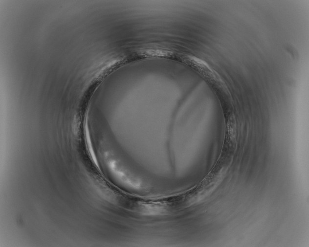 X0000113250359200910011351