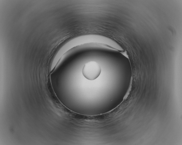 X0000113250360200910011351