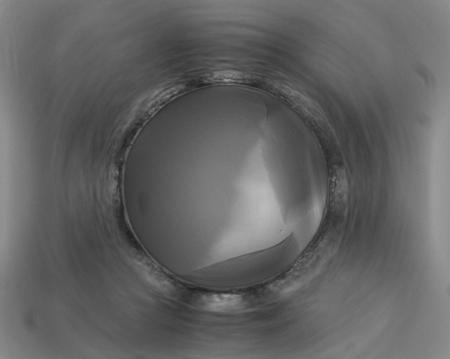 X0000113250361200910011351