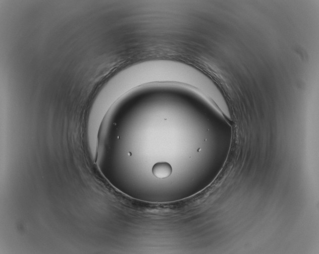 X0000113250362200910011351