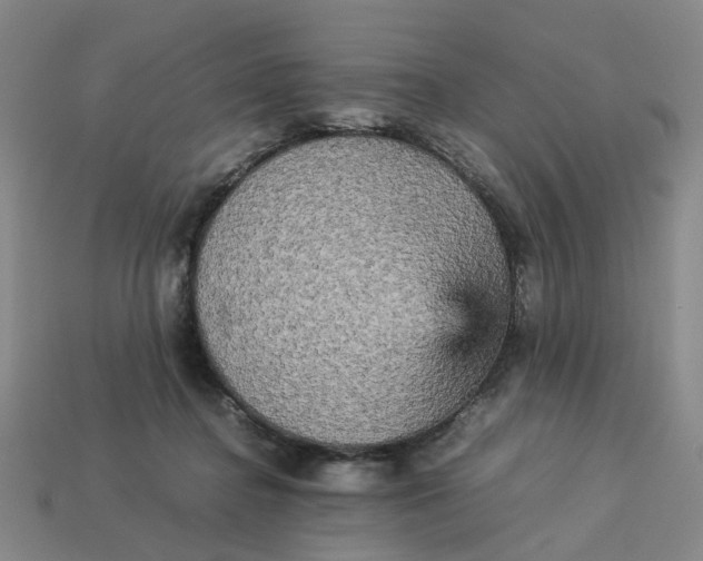 X0000113250364200910011351