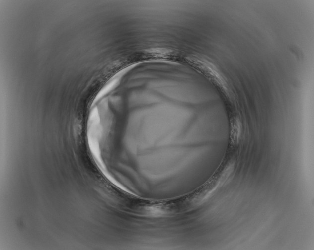 X0000113250365200910011351