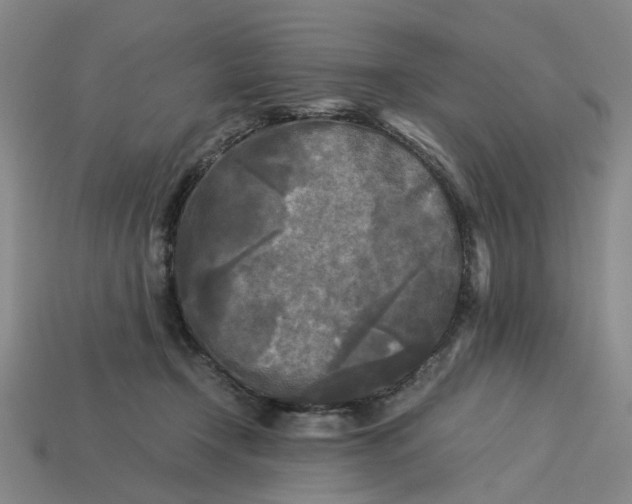 X0000113250366200910011351