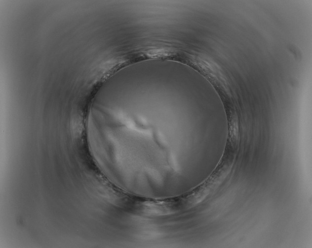 X0000113250367200910011351