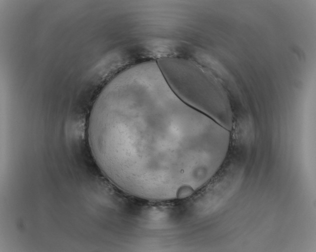 X0000113250368200910011351