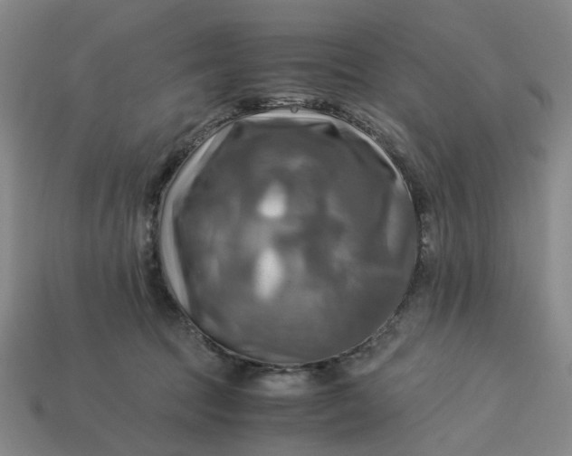 X0000113250369200910011351