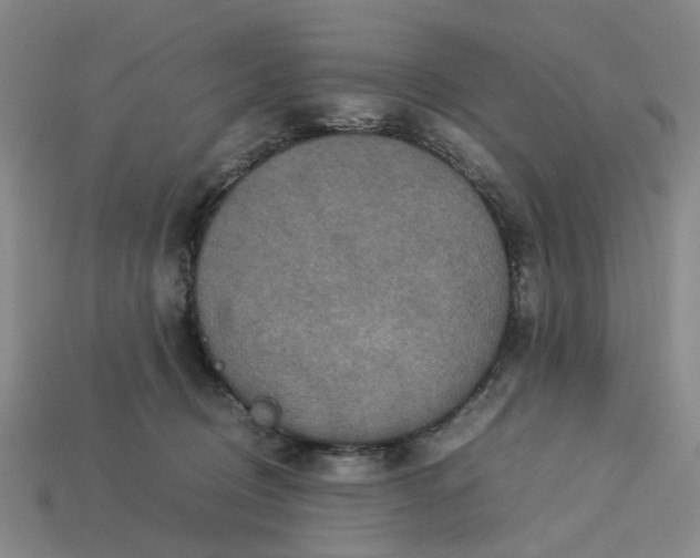 X0000113250370200910011351