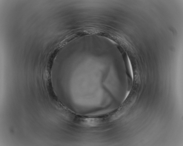 X0000113250371200910011351