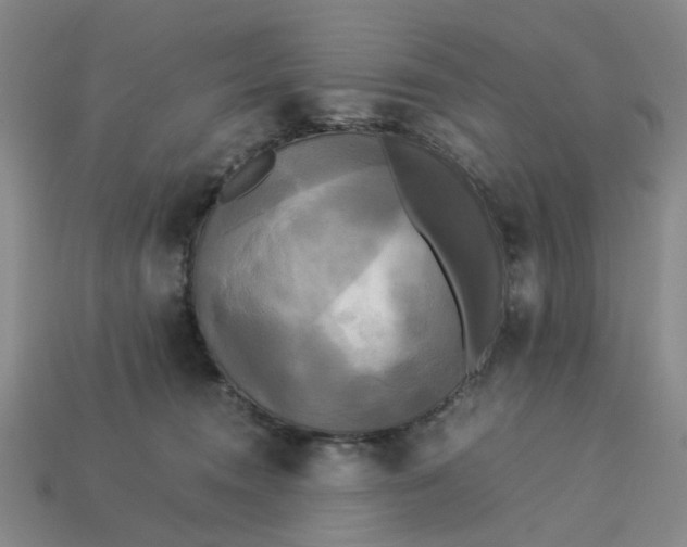 X0000113250372200910011351