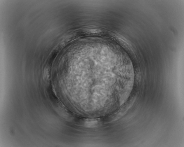 X0000113250373200910011351