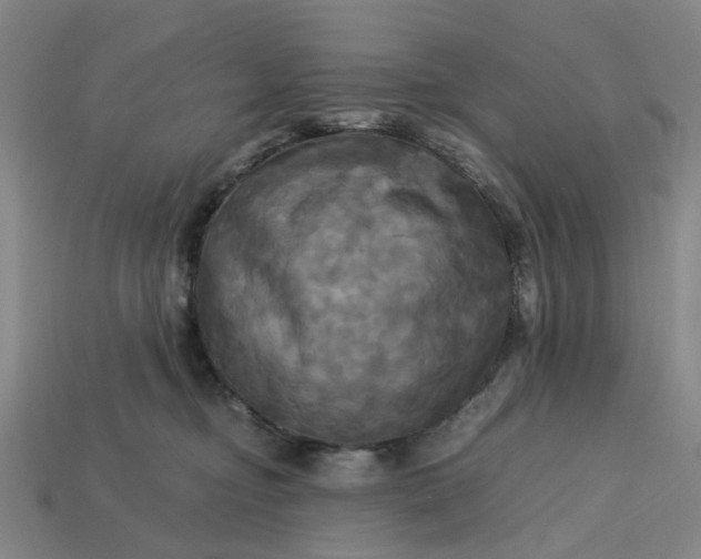 X0000113250374200910011351