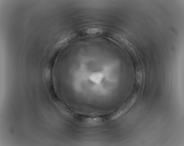 X0000113250375200910011351