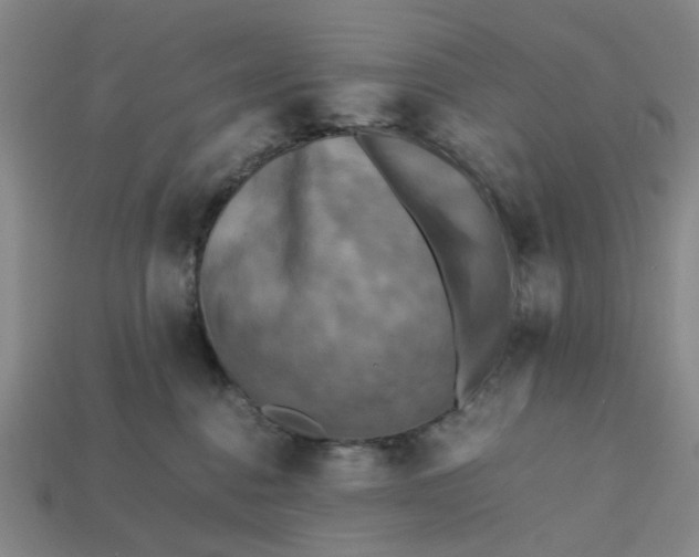 X0000113250376200910011351