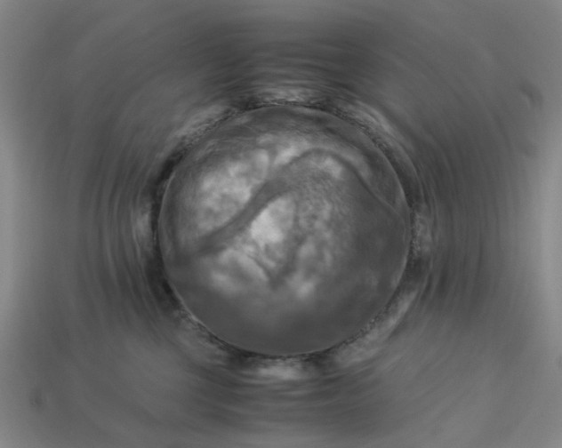 X0000113250377200910011351