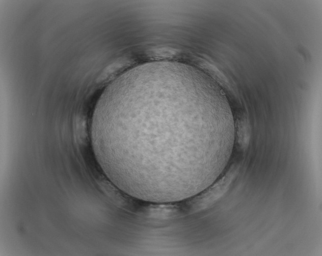 X0000113250378200910011351