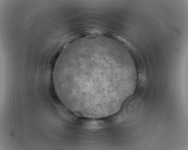 X0000113250379200910011351