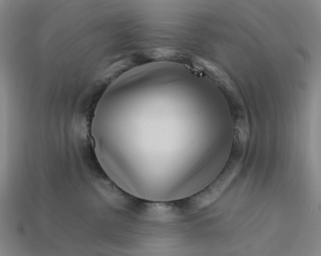 X0000113250380200910011351