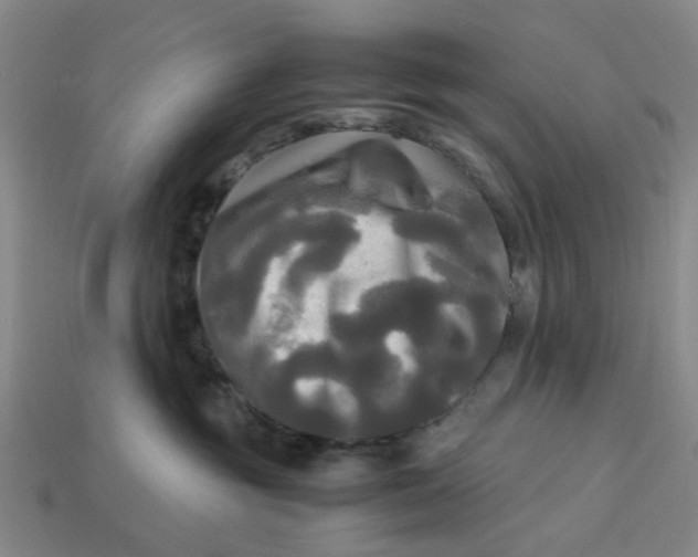 X0000113250381200910011351