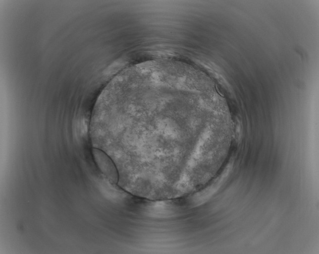 X0000113250382200910011351