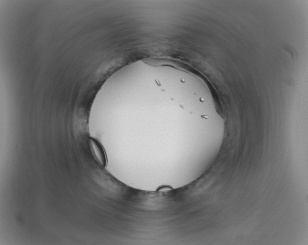 X0000113250384200910011351