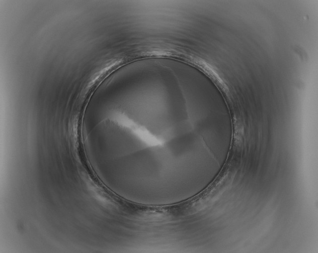 X0000113250386200910011350