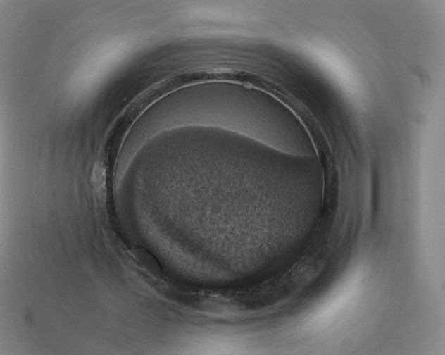 X0000113250387200910011350