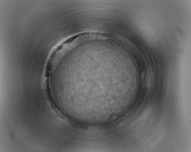 X0000113250388200910011350