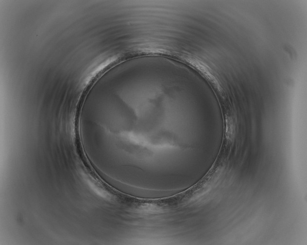 X0000113250390200910011350