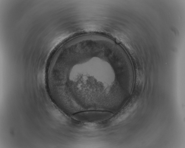 X0000113250391200910011350