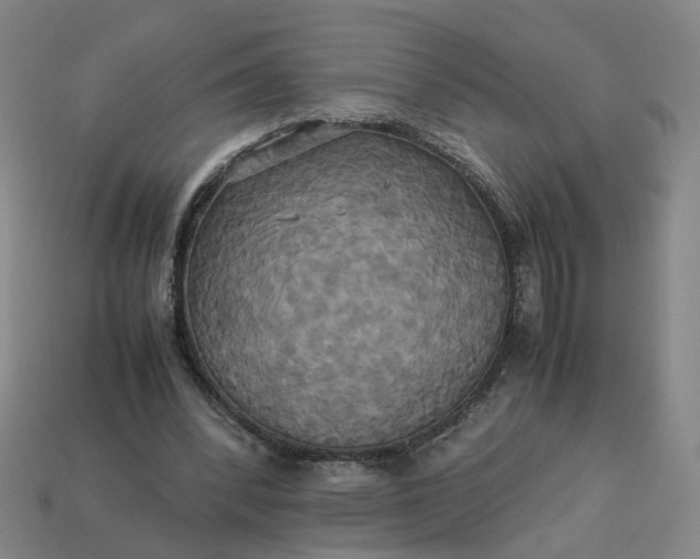 X0000113250392200910011350