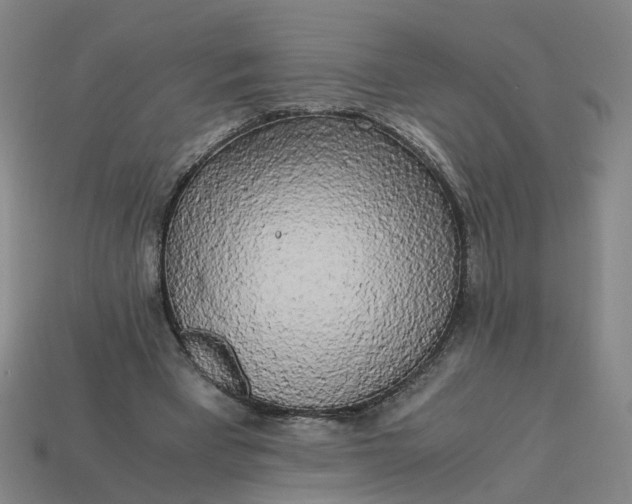 X0000113250393200910011350