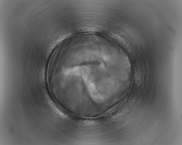 X0000113250394200910011350