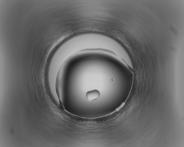 X0000113250395200910011350