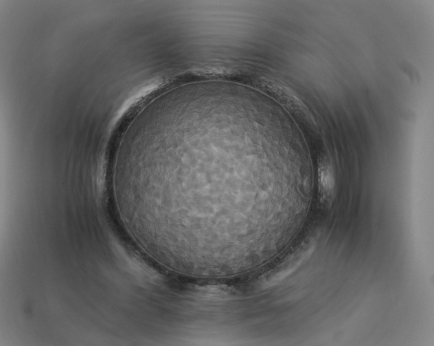 X0000113250396200910011350