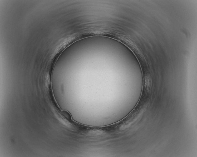 X0000113250397200910011350