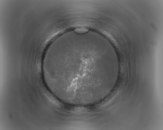 X0000113250399200910011350