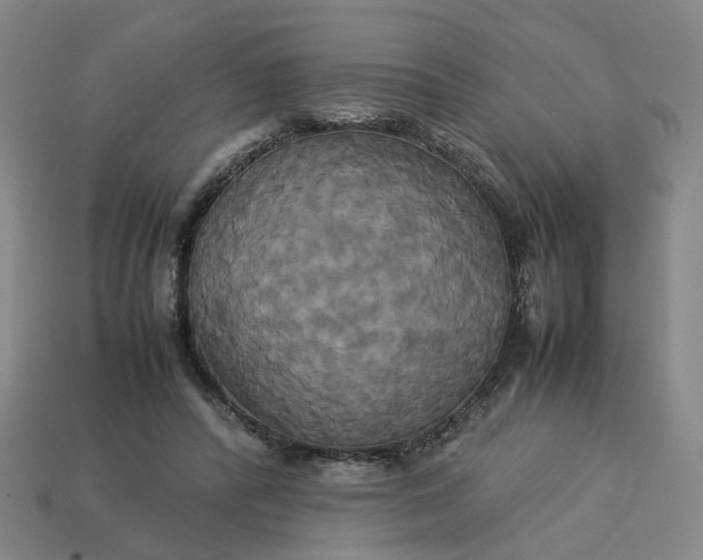 X0000113250400200910011350