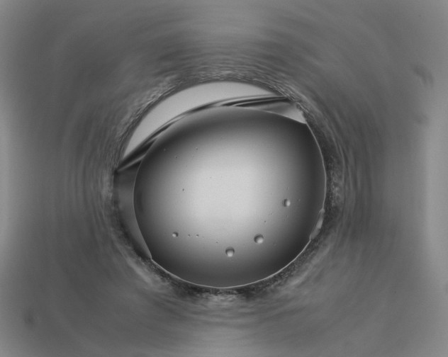 X0000113250401200910011350