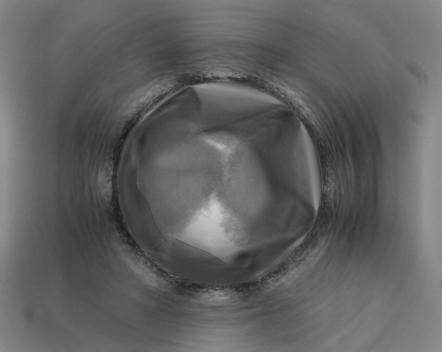 X0000113250402200910011350